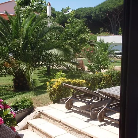 Le Jardin D Eden Sainte-Maxime