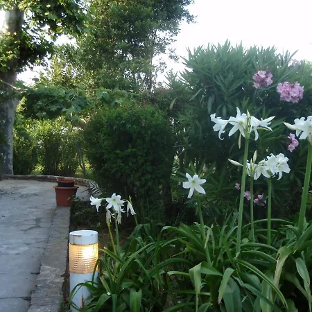 Le Jardin D Eden Guest house